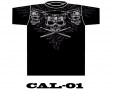 CAL-01