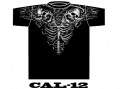 CAL-12