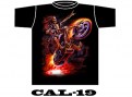 CAL-19
