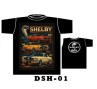 DSH-01