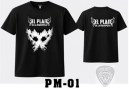 PM01
