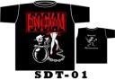 SDT01