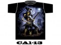 cal-13