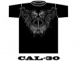 CAL-30