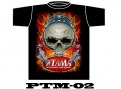 PTM-02